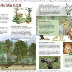 Ilustracja przedstawia las z różnymi zwierzętami i roślinami, w tym dzikiem, sarną, wiewiórką i ptakami.