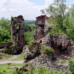 Ruiny zamku Tenczynek porośnięte zielenią, z fragmentami ceglanych murów i kamiennych pozostałości.