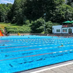 Ein sonniger Tag im Freibad Neuenhof. Menschen schwimmen in den Bahnen des großen Pools, während im Hintergrund grüne Bäume und ein Gebäude mit Sonnenschirmen zu sehen sind.