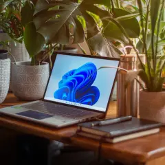 Laptop z systemem Windows 11 otoczony zielenią. Zastanawiasz się, ile zajmuje Windows 11?