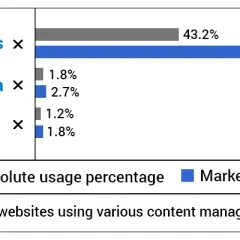 Wybór CMS: Drupal czy WordPress? Analiza, która rozwieje wątpliwości