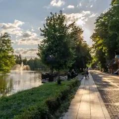 Zwierzyniec: Co zwiedzić? Odkryj serce Roztocza plan i atrakcje.
