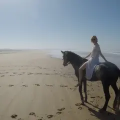 Konie berberyjskie na piaszczystej plaży, kobieta w białej sukience siedzi na koniu, ocean w tle.