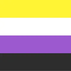 Bandiera non binaria: giallo, bianco, viola e nero. Rappresenta l'identità di genere che non rientra nelle categorie di uomo o donna, un significato di inclusione.