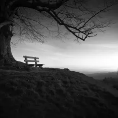 Samotna ławka pod rozłożystym drzewem na wzgórzu, zapraszająca do chwili zadumy. Solitude po polsku.