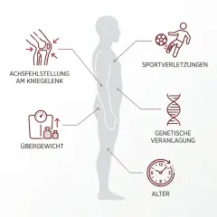 Grafik zeigt Faktoren wie Achsfehlstellung, Übergewicht, Sportverletzungen, genetische Veranlagung und Alter, die die Lebenserwartung bei Arthrose beeinflussen.