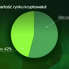 Wykres kołowy pokazuje, że Bitcoin stanowi 58% rynku kryptowalut, a altcoiny co to jest, stanowią 42%.