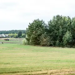 Zielona łąka, na której pasie się krowa, sąsiaduje z lasem. W oddali widać domy i ciężarówkę, co sugeruje odlesienie działki pod zabudowę.