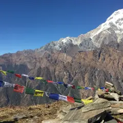 Vackra böneflaggor fladdrar i vinden under en snöklädd bergstopp. En oförglömlig upplevelse av att vandra i Nepal.