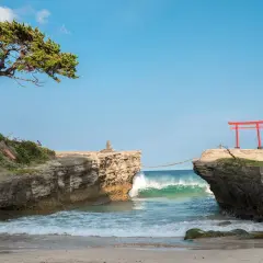 Skaliste wybrzeże nad Morzem Japońskim, z drzewem na klifie i czerwoną bramą torii na skale.