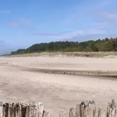 Piękna plaża w Dąbkach, idealne miejsce na rodzinne atrakcje. Ojciec z dzieckiem spacerują brzegiem morza.