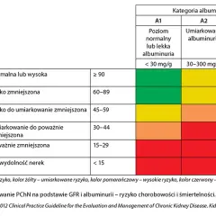 Choroba nerek jakie badania: kluczowe testy, które musisz znać