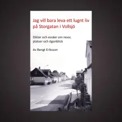 Boken "Jag vill bara leva ett lugnt liv på Storgatan i Vollsjö" av Bengt Eriksson. Denna samling dikter och essäer utforskar vad betyder poesi genom resor, platser och ögonblick.
