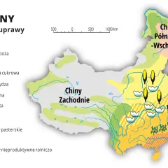 Mapa pokazuje główne uprawy w Chinach, gdzie leżą pola ryżu, kukurydzy, soi i bawełny.