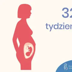 32 tydzień ciąży. Ilustracja pokazuje sylwetkę kobiety w ciąży z widocznym płodem w łonie.