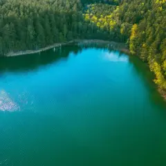 Turkusowe jezioro w Wapnicy otoczone gęstym lasem. Woda lśni, odbijając niebo i drzewa.