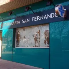 Veterinario San Fernando: Encuentra el mejor servicio para tu mascota