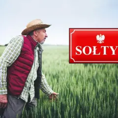 Sołtys w słomkowym kapeluszu i kamizelce przemierza pole zboża, obok tabliczka z godłem Polski i napisem "SOŁTYS".