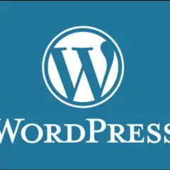 WordPress org czy com - która platforma zrujnuje Twój budżet?