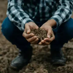 Dłonie trzymające żyzną glebę, która rozsypuje się między palcami. To fundament życia i przyszłych plonów.