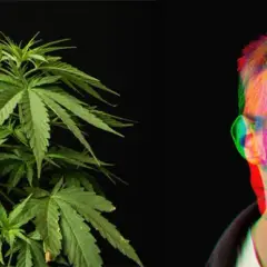 Uzależnienie od marihuany: co dzieje się w głowie? Zrozum psychikę