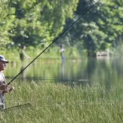 Mężczyzna łowi ryby w trzcinach, licząc na jutrzejsze brania. W tle inni wędkarze.