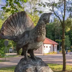 Roztocze atrakcje - odkryj niezwykłe miejsca, które musisz zobaczyć