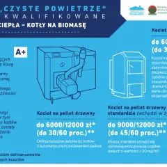Kocioł na drewno: Jak wybrać? Uniknij błędów, zyskaj dotacje!
