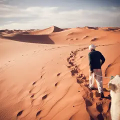 Un homme en tenue traditionnelle mène un chameau sur les dunes du désert marocain. Un trek inoubliable.