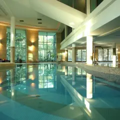 Basen w hotelu Havet Resort & Spa, z dużymi oknami i widokiem na zieleń. Idealne miejsce na relaks, zgodnie z wieloma pozytywnymi havet hotel resort & spa opinie.