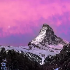 Majestatyczny Matterhorn w różowym niebie, idealny na pierwszy zimowy wypad. Śnieg, lasy i księżyc tworzą magiczny krajobraz.