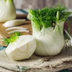 Świeży koperkowy fenchel po polsku, z zielonymi liśćmi i przekrojonym bulwiastym korzeniem, gotowy do kuchni.