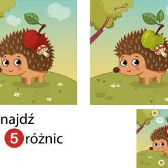 Uroczy jeż z jabłkiem i grzybkiem na grzbiecie. Znajdź 5 różnic między obrazkami, by pomóc mu w poszukiwaniach.