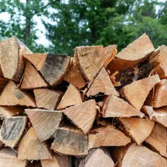 Stapel von gespaltenem Holz, bereit für den Winter. Der hohe Brennwert von Ulmenholz macht es zu einer beliebten Wahl für Kaminholz.