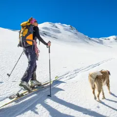 Kobieta na nartach z psem wyrusza na ski alpinizm. Słońce, śnieg i błękitne niebo tworzą idealne warunki do górskiej przygody.