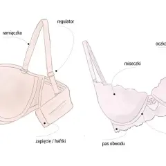 Ilustracja pokazuje budowę biustonosza, jego ramiączka, miseczki i zapięcie. Rozmiar stanika c jest kluczowy dla dopasowania.