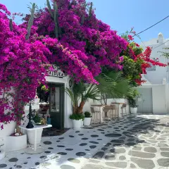 Najlepsze atrakcje na Mykonos, które musisz zobaczyć podczas wizyty