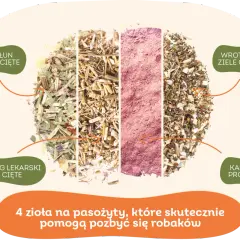 Czym odrobaczać psa? Skuteczne metody i naturalne alternatywy