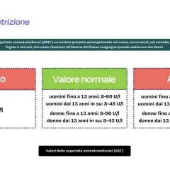 Valori AST (aspartato aminotransferasi) negli esami del sangue: basso (<8 U/I), normale (range specifici per età e sesso) e alto (> range normali).