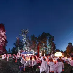 Festliche Nacht bei Essingen Veranstaltungen: Gäste in Weiß speisen unter beleuchteten Bäumen und Sternenhimmel.