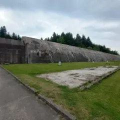 Ogromny betonowy bunkier w Frysztaku, otoczony zielenią i lasem.