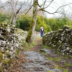 Sendero de piedra cubierto de musgo, parte de la ruta Garganta de Escuain. Dos excursionistas avanzan por el camino.