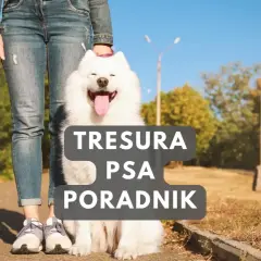 Szczęśliwy biały pies siedzi obok właściciela. Poradnik jak tresować szczeniaka.