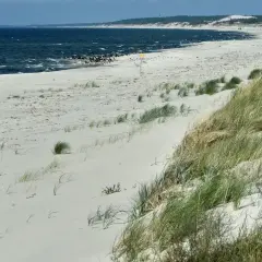 Szerokie, puste piaski nad morzem, porośnięte trawami, ciągną się wzdłuż ciemnego, wzburzonego morza.