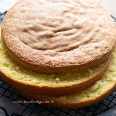 Due dischi di soffice pan di spagna 3 uova, uno sopra l'altro, su una griglia.