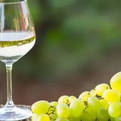 Szklanka białego wina, prawdopodobnie alvarinho, obok kiści zielonych winogron na kamiennym blacie.
