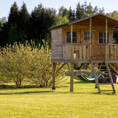 Drewniany domek na palach z drabinką i hamakiem na tle zieleni.