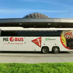Biały autokar Neobus z wizerunkiem pandki rudej na tle nowoczesnego dworca. Sprawdź neobus ceny biletów na www.neobus.pl.
