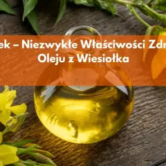 Olejek z wiesiołka na co działa? Odkryj jego niezwykłe właściwości zdrowotne