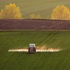 Traktor wykonuje oprysk na zielonym polu. W tle widać zaoraną ziemię i żółte drzewa.